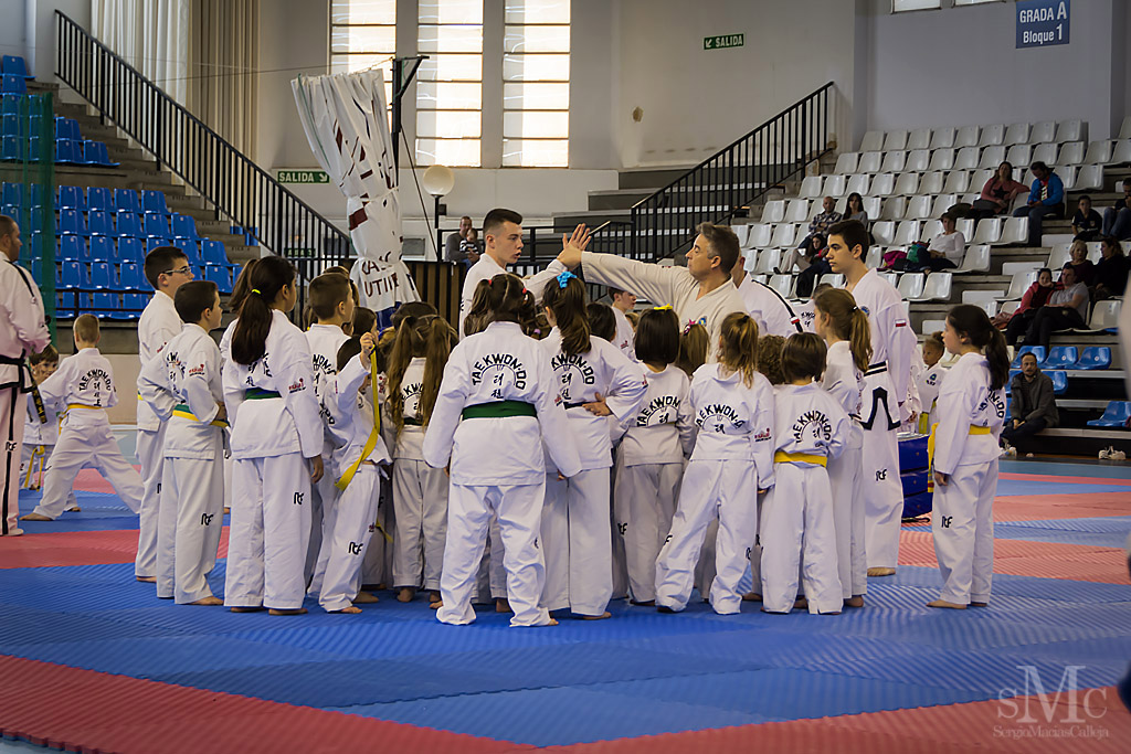 DIA DEL TAEKWONDO ABRIL 2017_3987.JPG